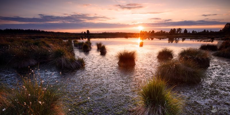 Fagne de Brackvenn Sunset