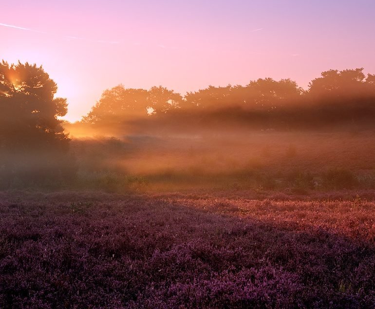 Brunssummerheide