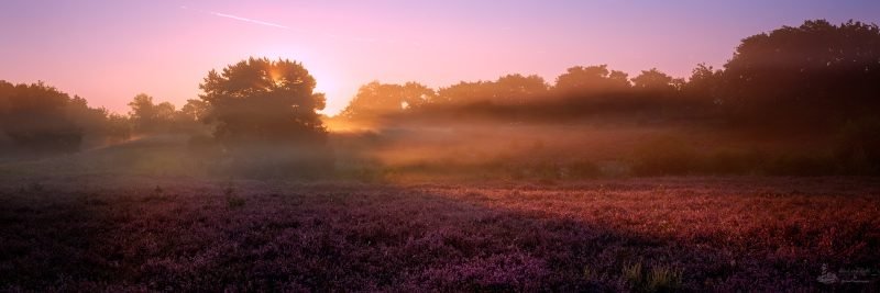 Brunssummerheide