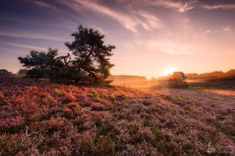 Brunssummerheide