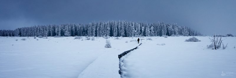 Winter Wonderland