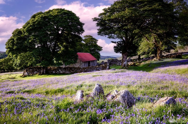Emsworthy Mire