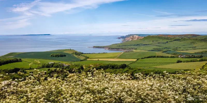 Swyre Head